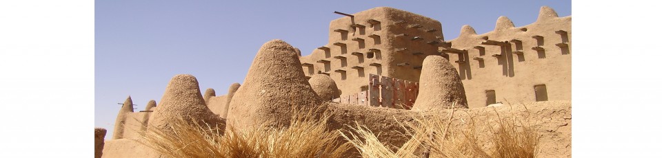 Mali benefits from the extension of the DSSI