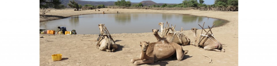 La République de Djibouti bénéficie de l’extension finale de l’ISSD