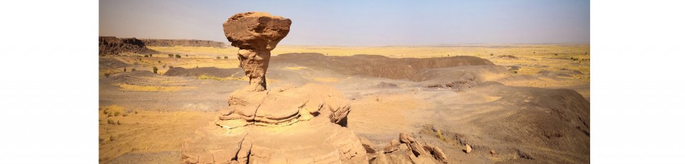 The Republic of Niger benefits from the extension of the DSSI