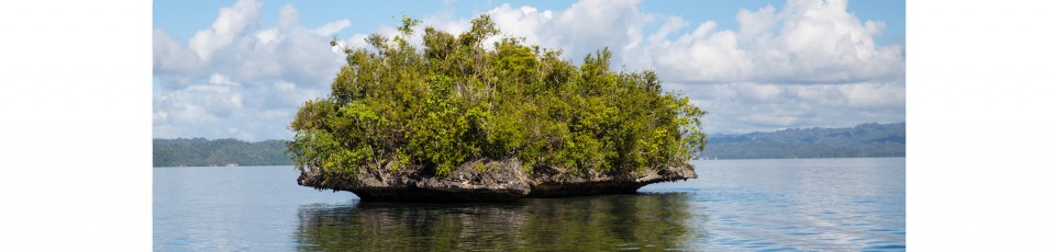 Papua New Guinea benefits from the extension of the DSSI