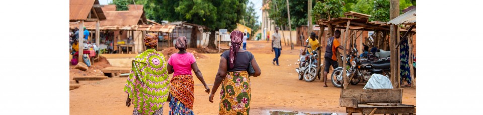 Togo benefits from the extension of the DSSI