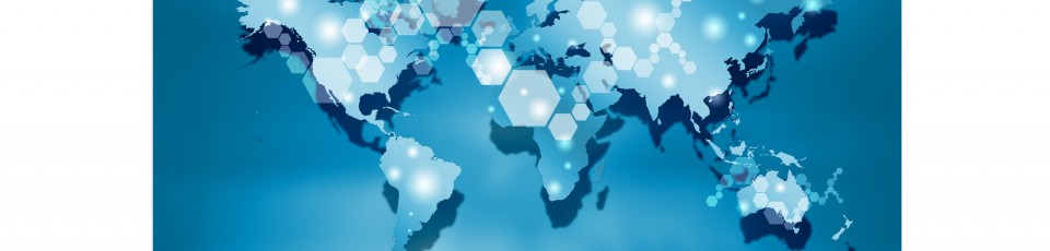 Paris Forum on capital flows