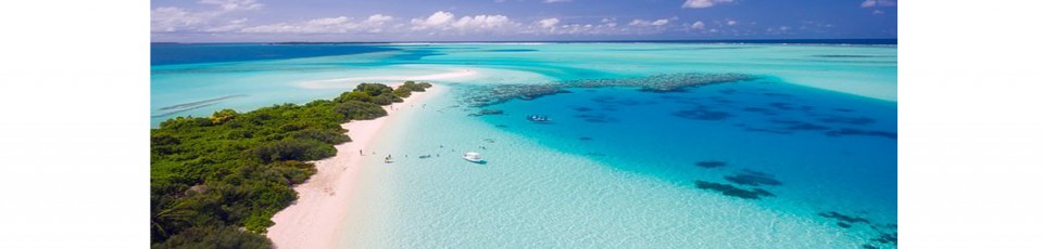 The Maldives benefits from the debt service suspension initiative